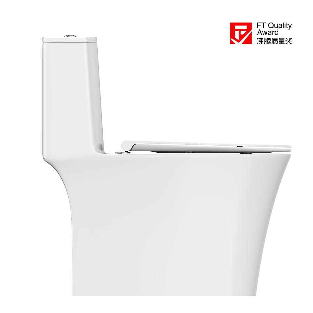 HC0908DT D8超旋風坐便器