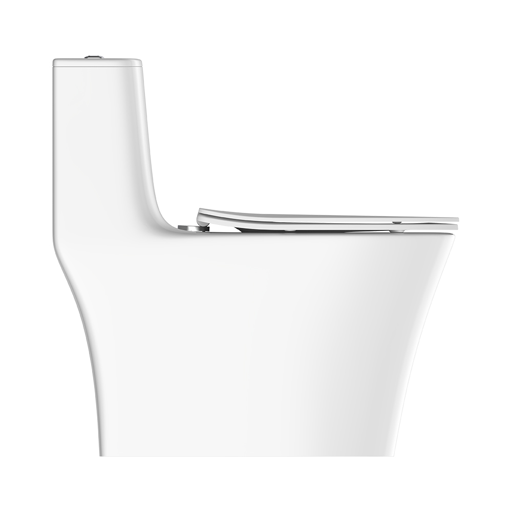 LC0905DT D5超旋風(fēng)節(jié)水坐便器